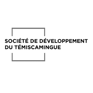 logo-SDT